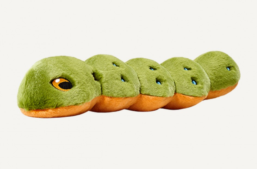Duvet Et C Lin Katie the Caterpillar