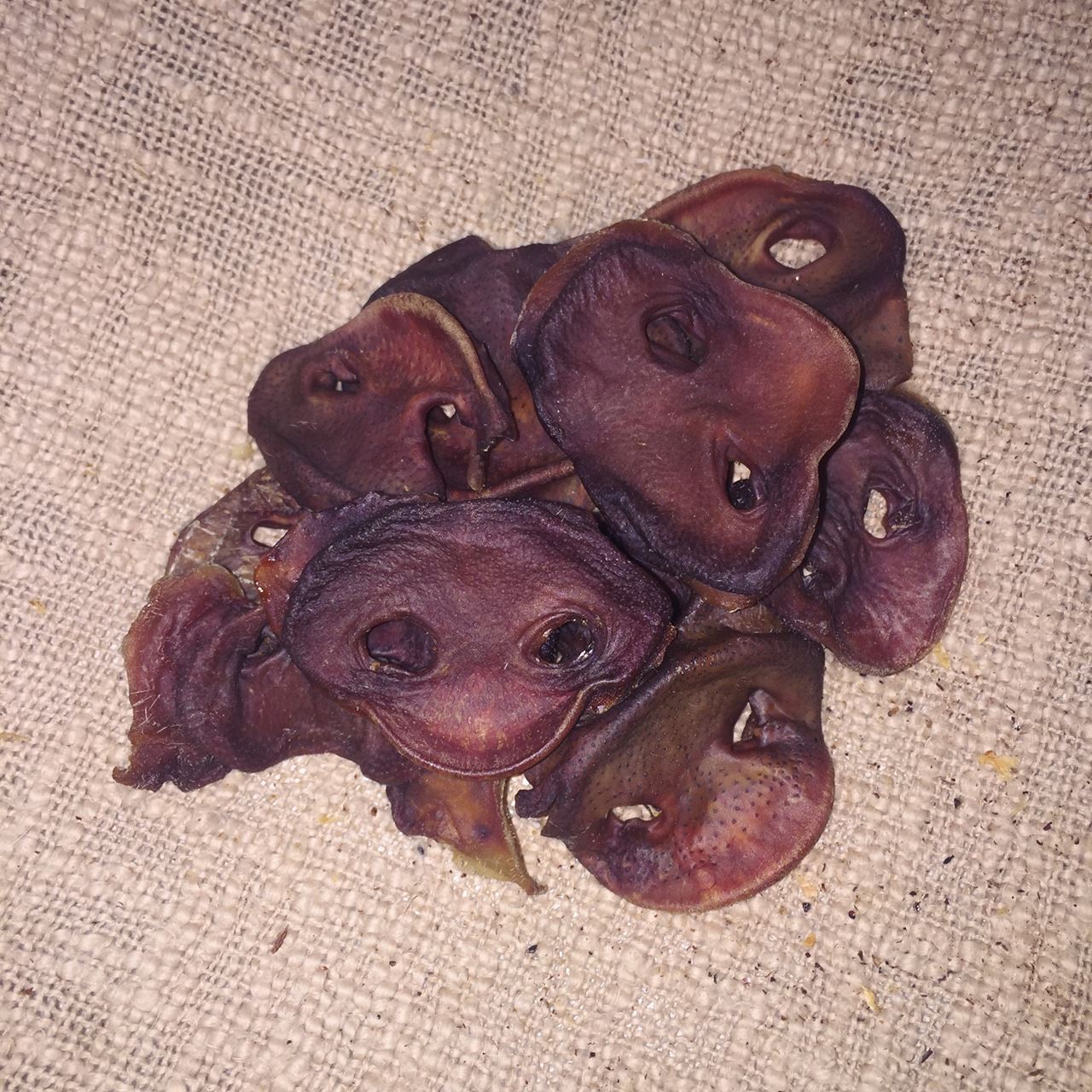 Pig Snout