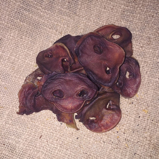 Pig Snout