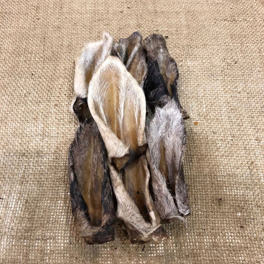 Lamb Ear