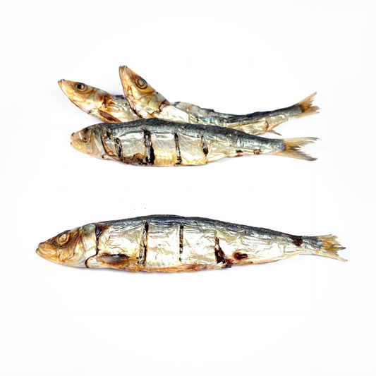 Sardines