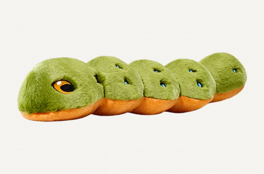 Duvet Et C Lin Katie the Caterpillar