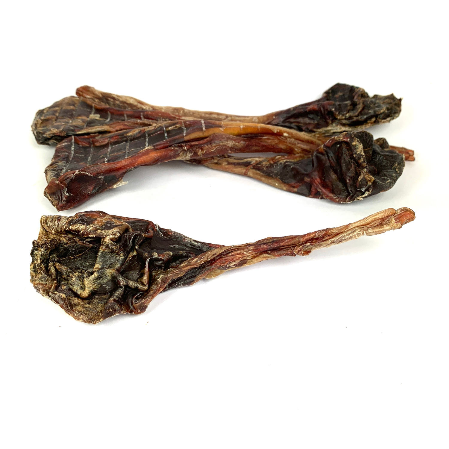 Roo Tendons