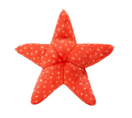 Fluff & Tuff Ziggy Starfish Plush Dog Toy