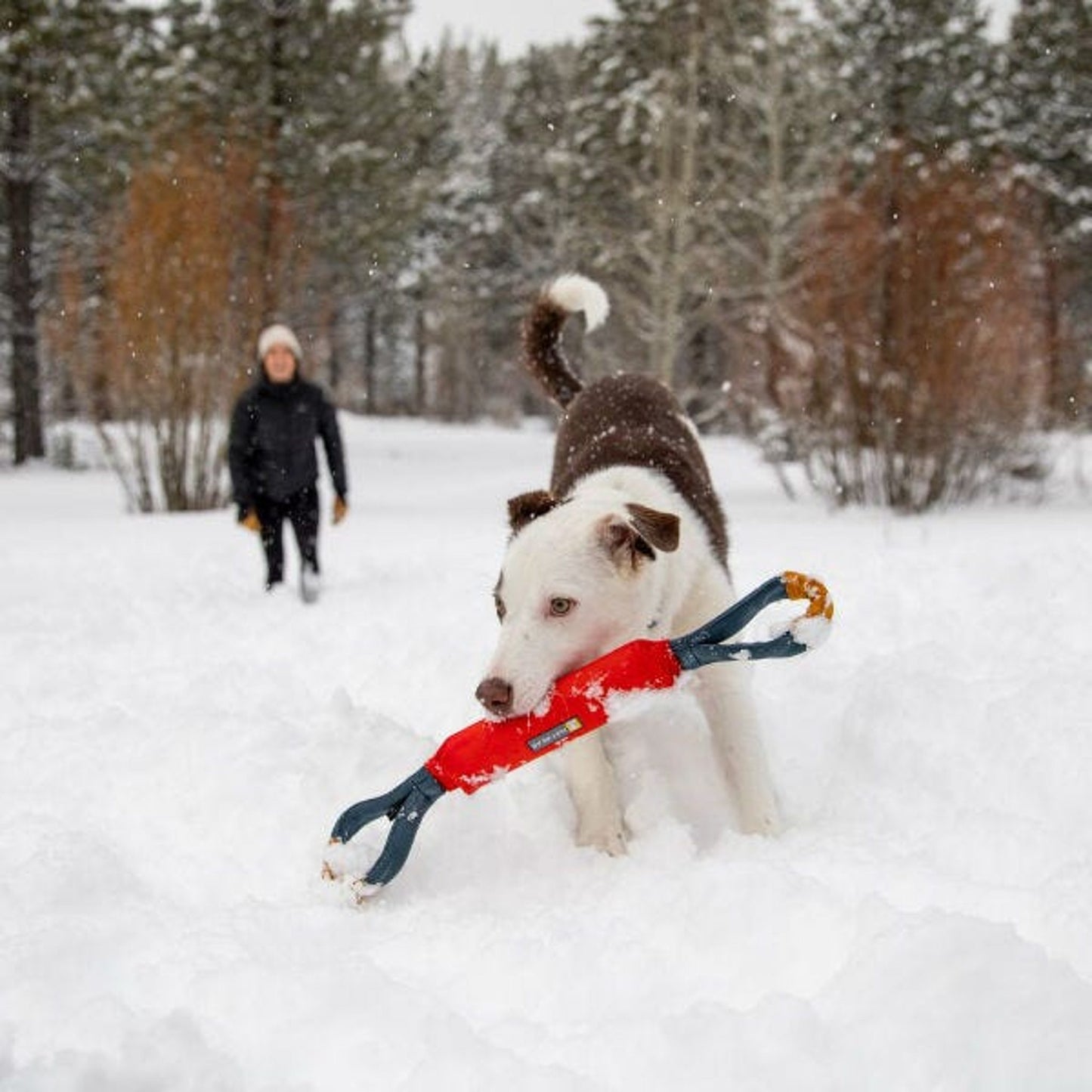 Ruffwear Pacific Loop Dog Toy, One Size