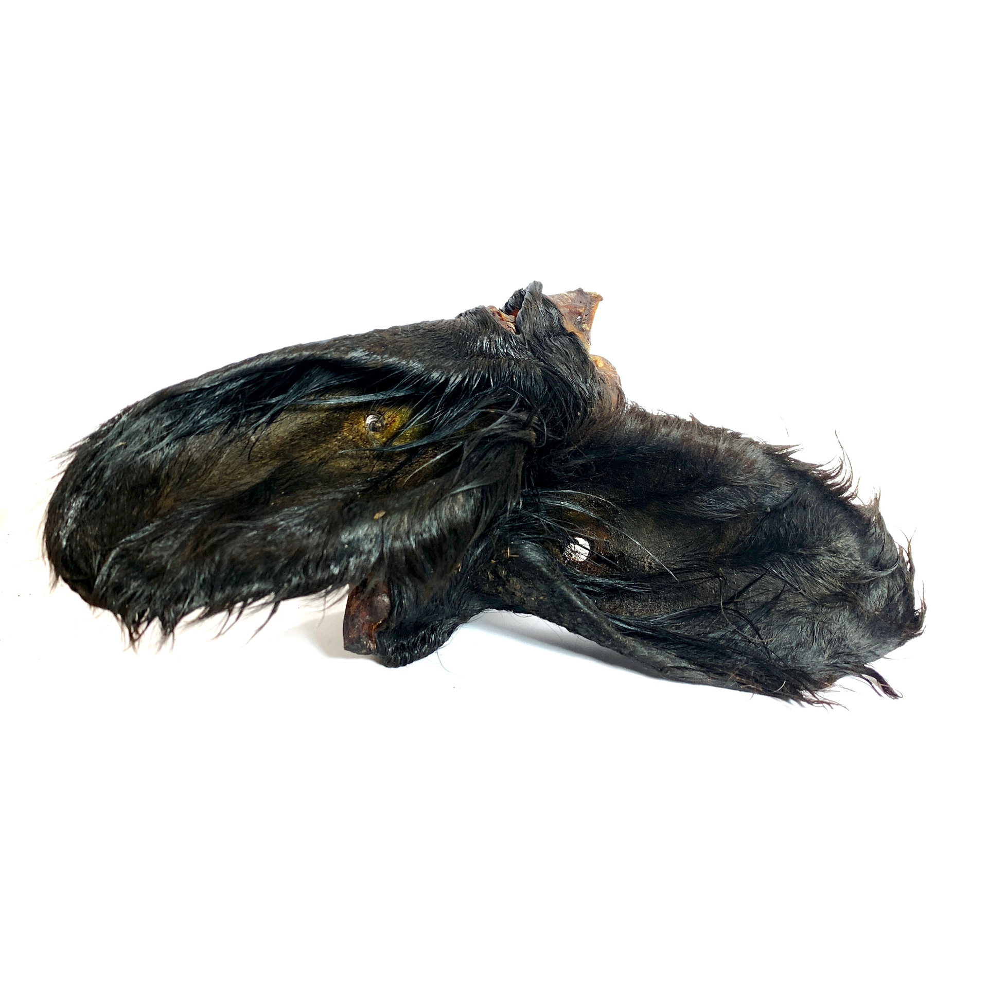 Cow Ears
