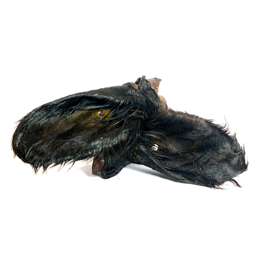 Cow Ears